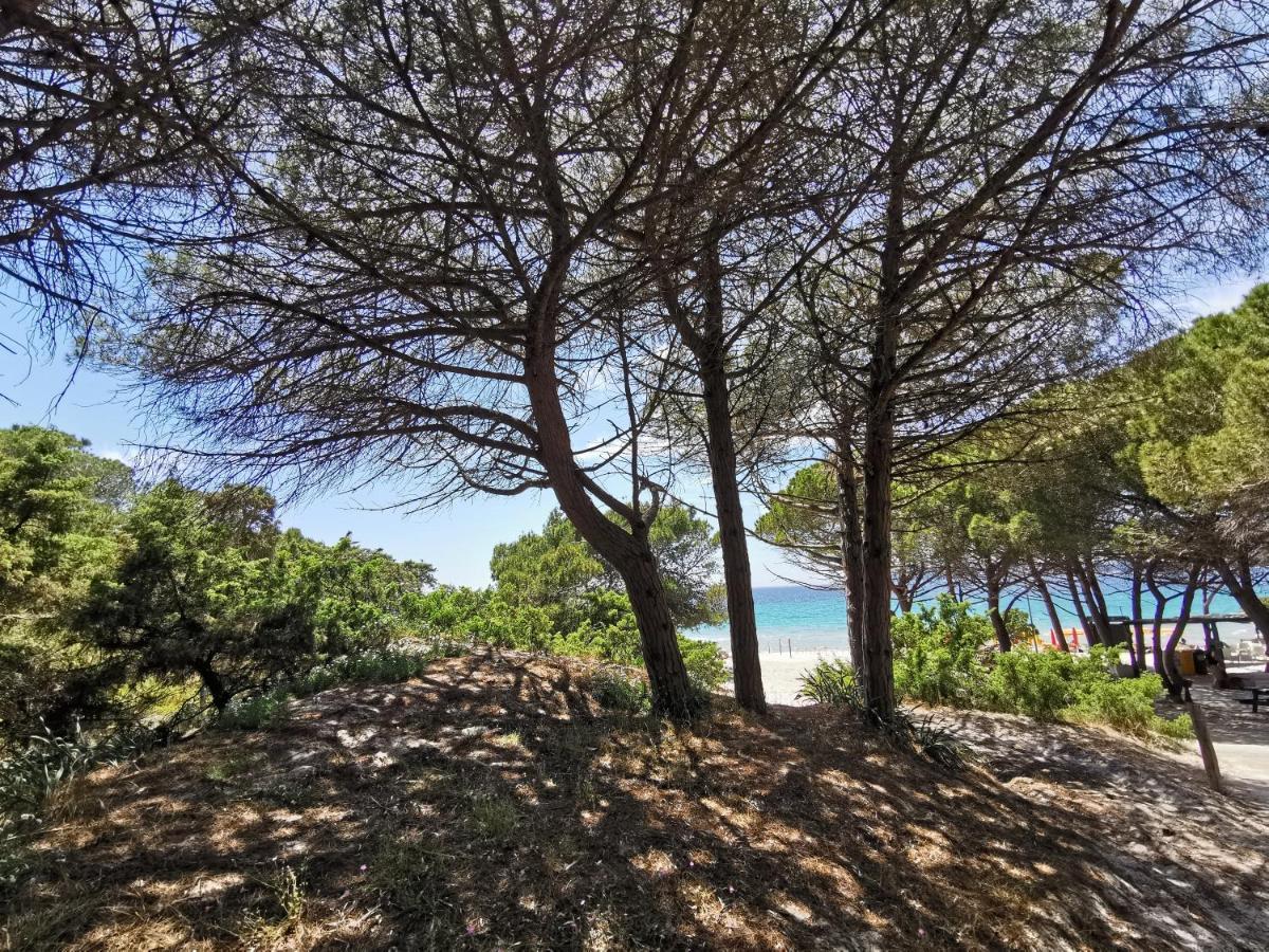 Alghermanzoni Alghero Dış mekan fotoğraf